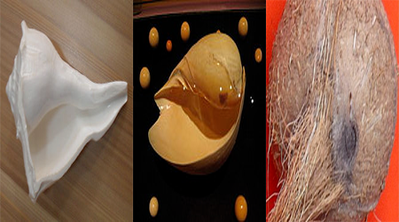 Hindu goddesses maha Lakshmi favorite objects and intresting facts by teluguone devotional  